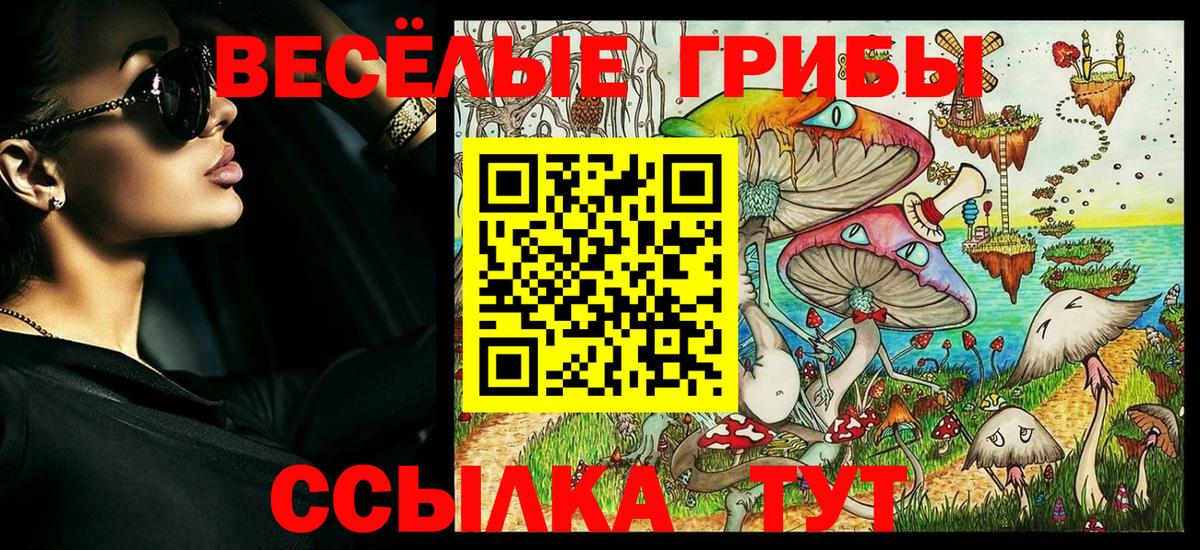 Псилоцибиновые грибы мицелий Донской